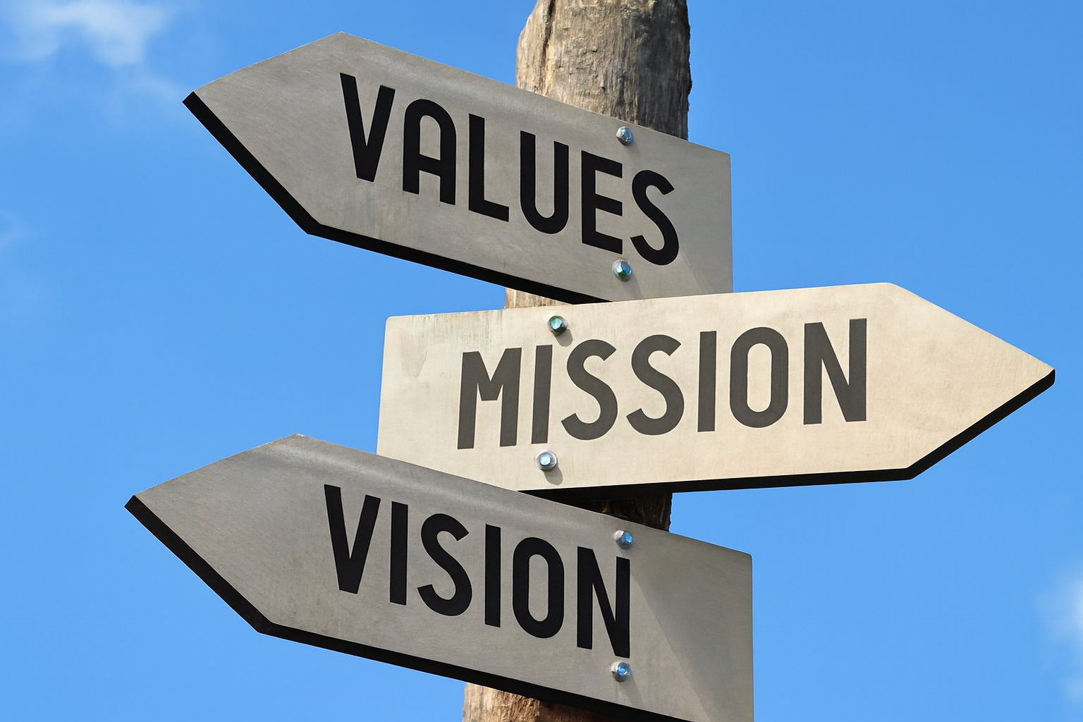 BXIFoundation_Vision